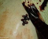 saw6 (1)